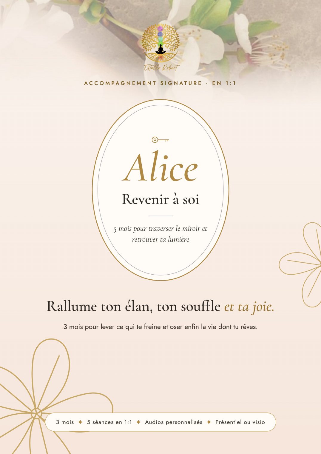 Plaquette Alice, page 1